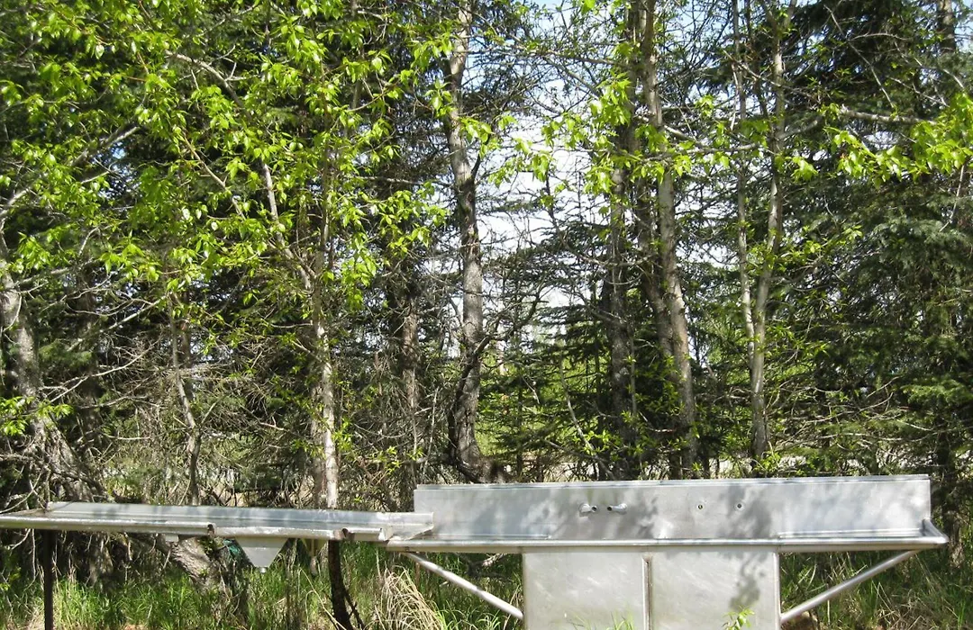 Whispering Winds Retreat B&B-1